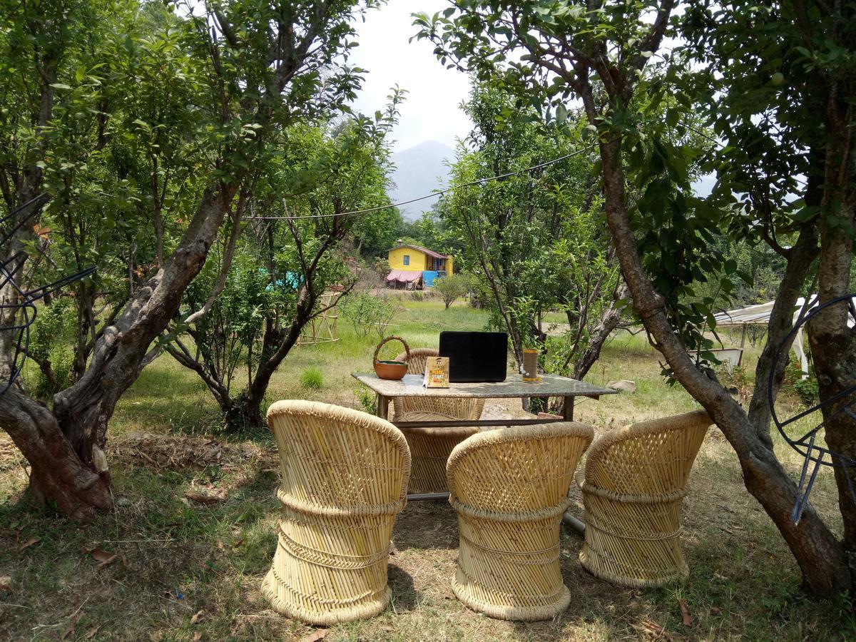 Hots Nainital Hostel Patwa Dunga Buitenkant foto