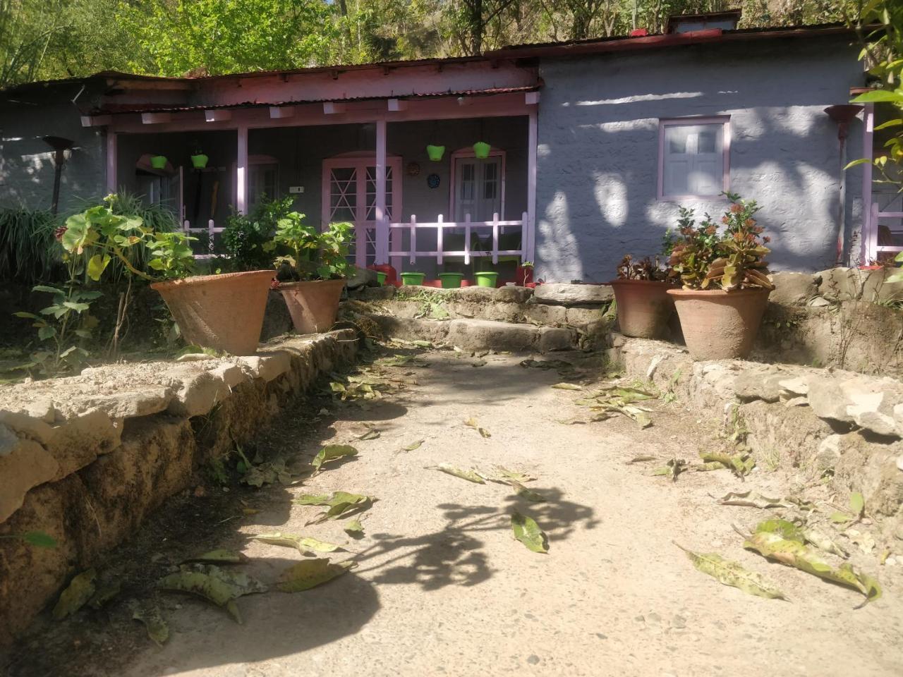 Hots Nainital Hostel Patwa Dunga Buitenkant foto